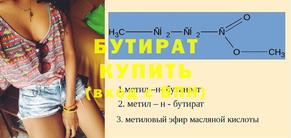 индика Алзамай