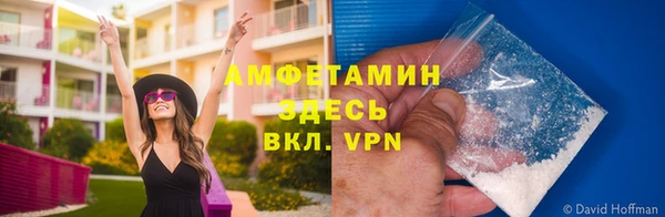 мяу мяу мука Алексин