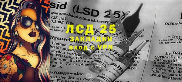 индика Алзамай
