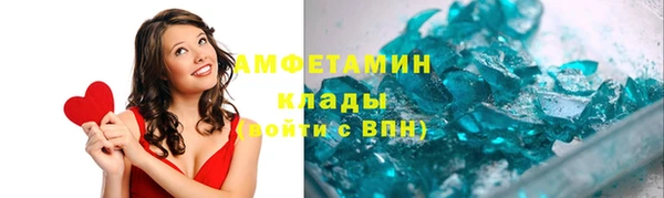 индика Алзамай