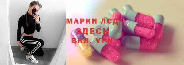 индика Алзамай