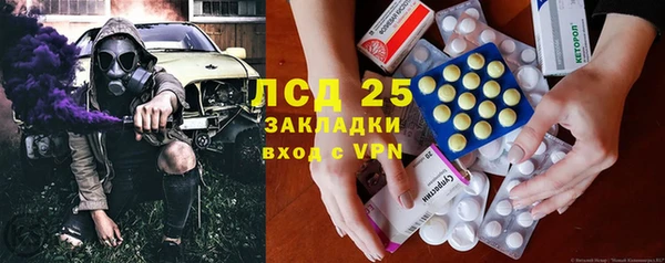 индика Алзамай
